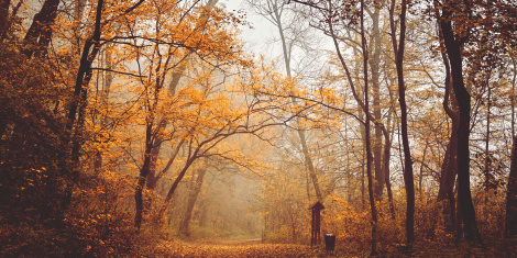 Conseils santé : toutes nos astuces pour être en forme en automne !